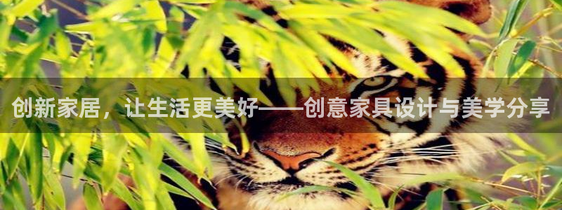 龙八国际app客户端下载手机版