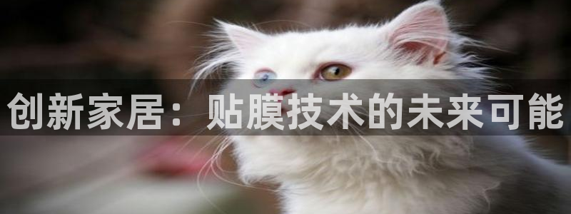 龙八国际b48点tv