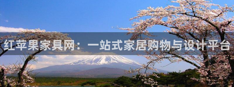 龙八国际游戏下载