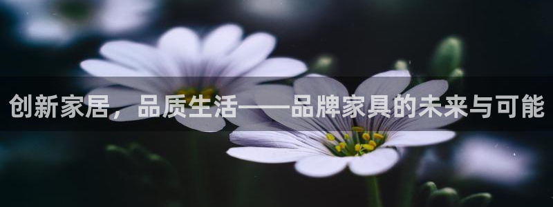 龙八国际登录注册