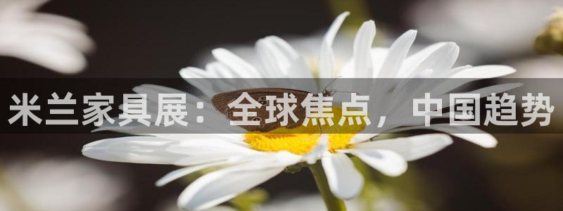 龙八国际APP官方版