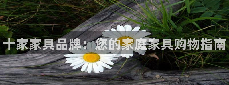龙八国际娱乐网站多少