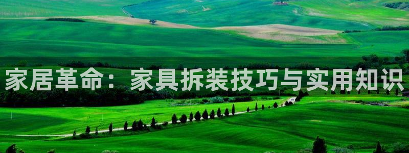 龙八国际游戏下载