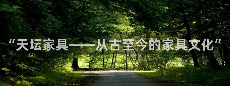 石家庄龙八国际老板是谁