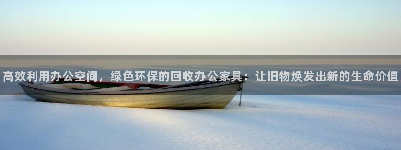 龙八国际有限责任公司
