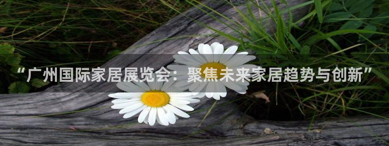 龙八国际88