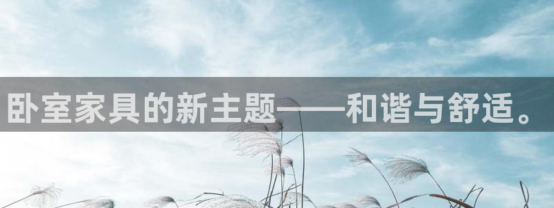 龙八国际官网网站