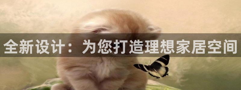 龙八国际官网首页网页版