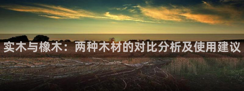 龙八国际不管吗