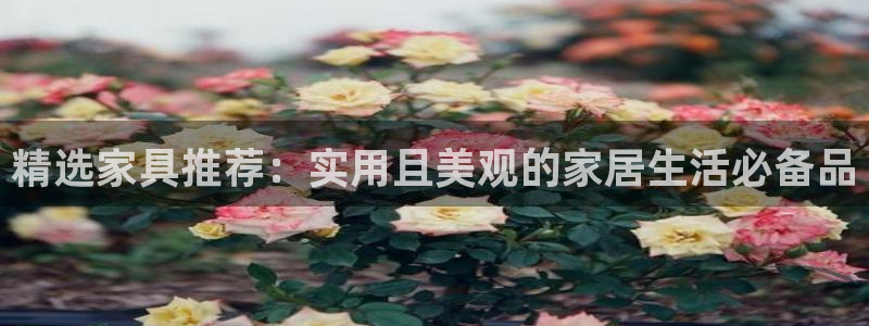 大英龙八国际