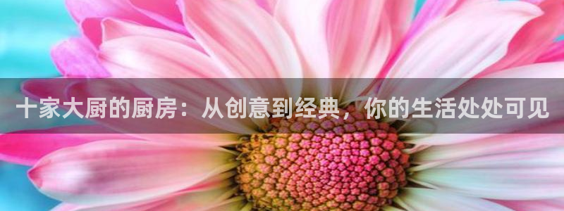 龙八国际下载链接一：十家大厨的厨房：从创意到经典，你的生活处