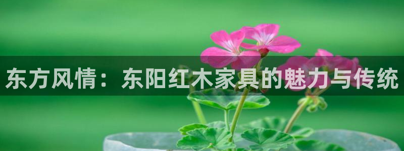 龙八国际图片
