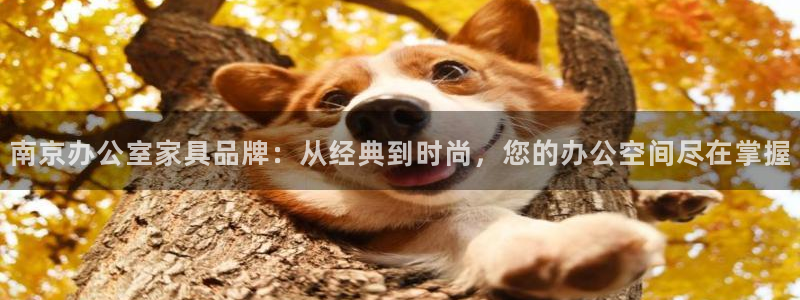 龙八国际有限责任公司：南京办公室家具品牌：从经典到时尚，您的