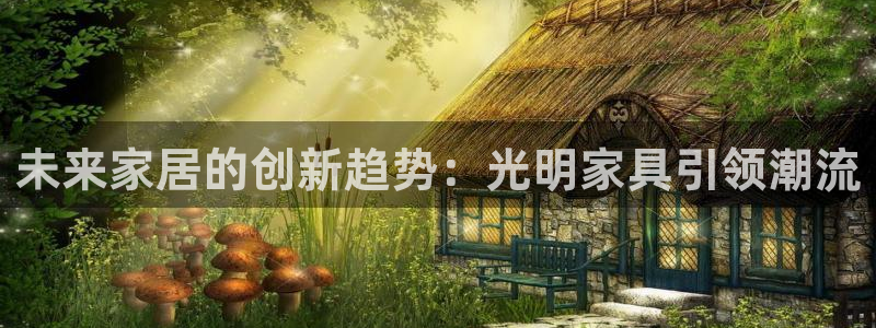 龙八国际long8