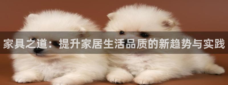 下载龙八国际app：家具之道：提升家居生活品质的新趋势与实践