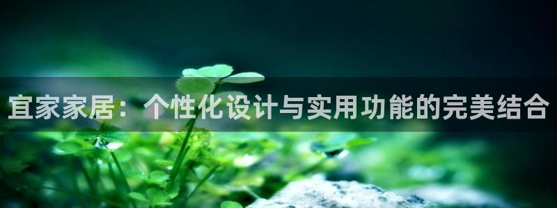 龙八国际手机端