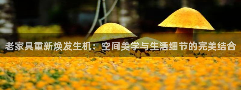 龙八国际服官网
