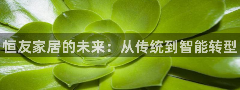 龙八国际优惠券