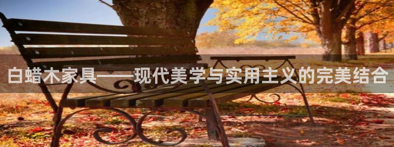 搜索 龙八国际