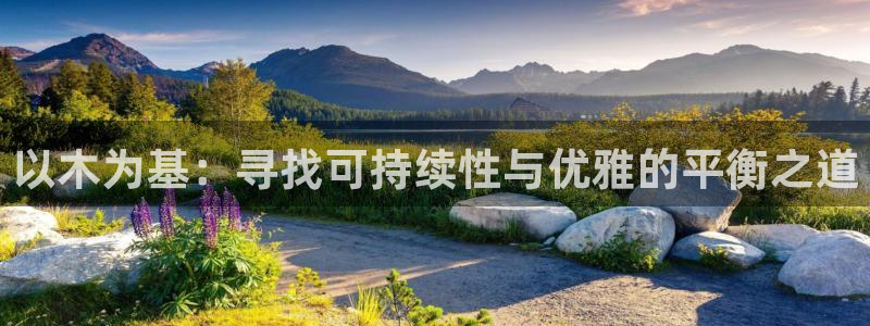 下载龙八国际手机版手游：以木为基：寻找可持续性与优雅的平衡之