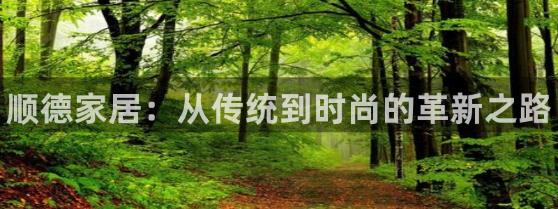 龙八国际娱乐实力如何