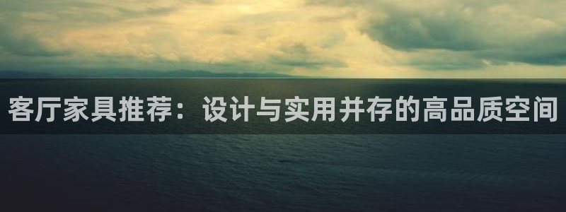 龙八国际