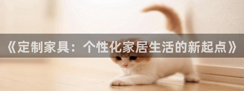龙八国际网q18点tv：《定制家具：个性化家居生活的新起点》