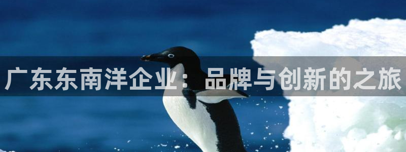 龙八国际官网手机端