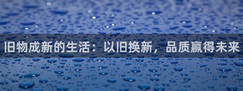 龙八国际版游戏