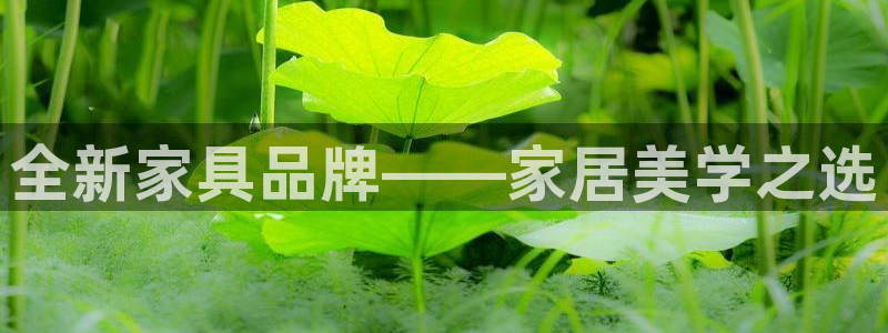 龙八国际服官网进入