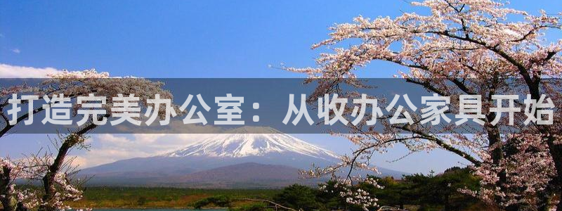 龙八国际官网网址