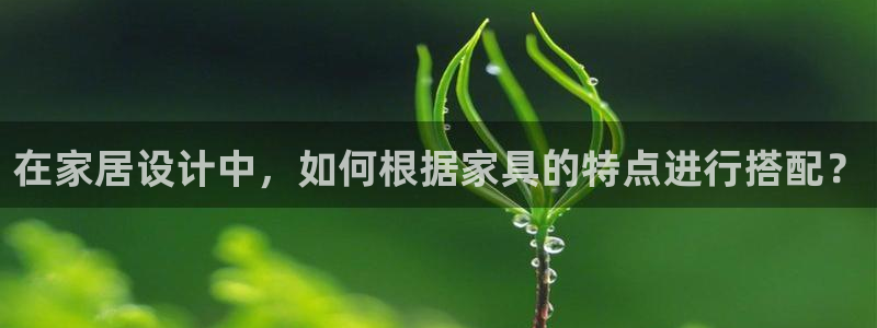 龙八国际app电话号码