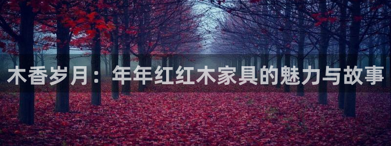 下载龙八国际手机版安装