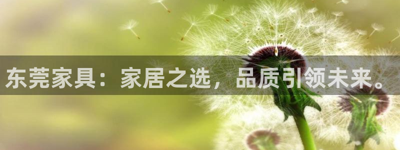 龙八国际登录网