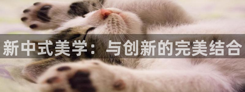 龙八国际app手机端