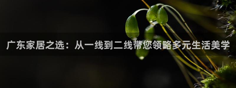 龙八国际娱乐官网多少