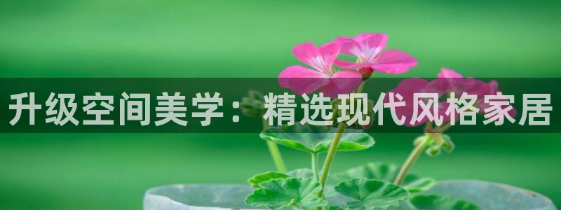 龙八国际在哪里啊