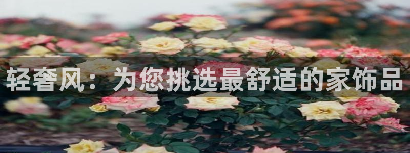 龙八国际优惠券