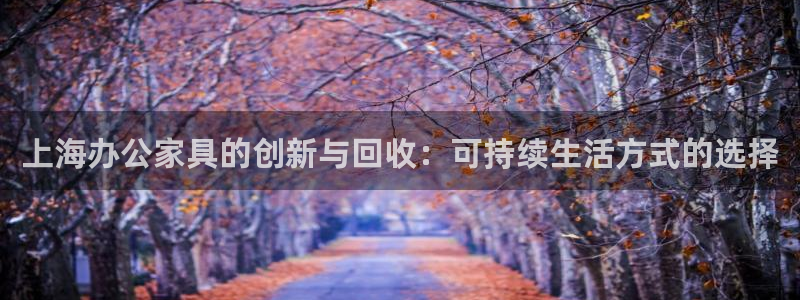 项目名称龙八国际