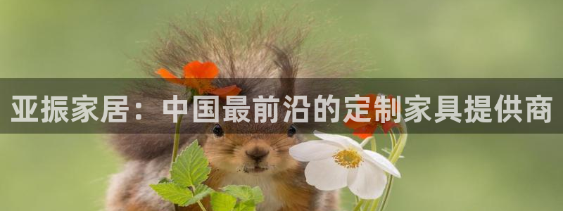 怎么举报龙八国际