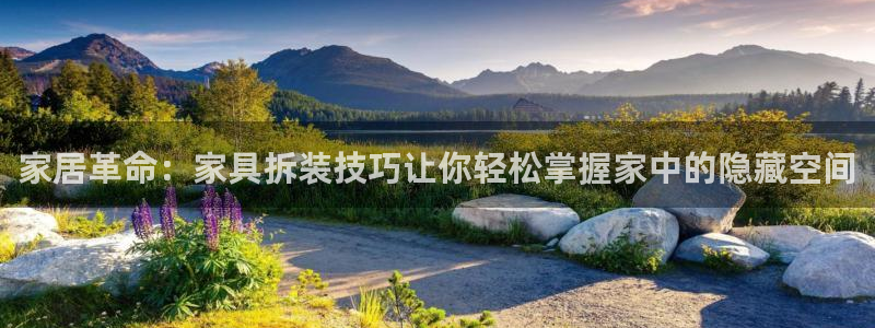 龙八国际娱乐客服