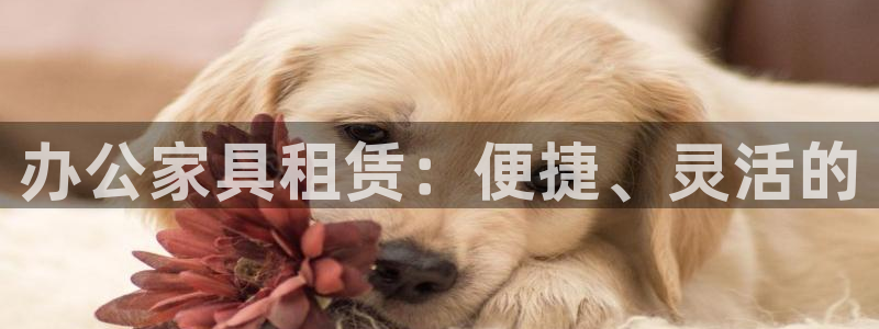 龙八国际平台真人游戏