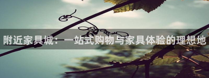 龙八国际我要登录