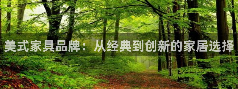 龙八国际官方手游