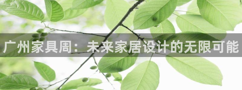 龙八国际服官网站