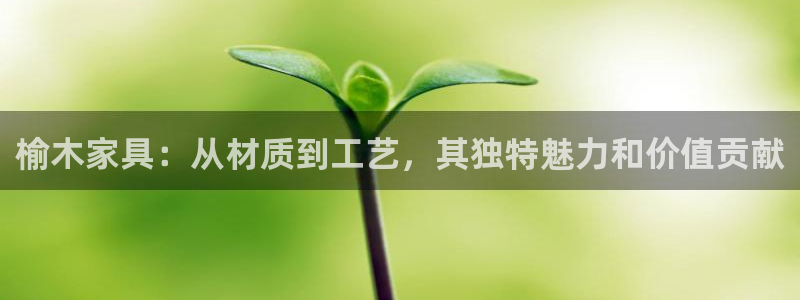 龙八国际娱乐pt老虎机