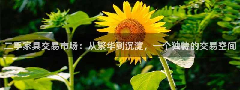 龙八国际游戏视频