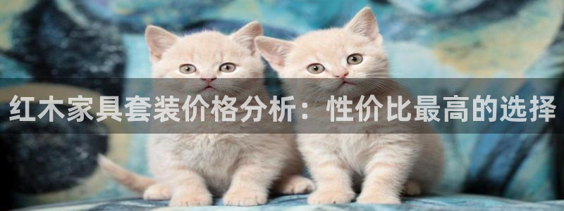 龙八国际登官网