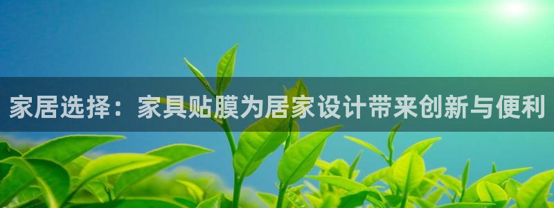 龙八国际mG
