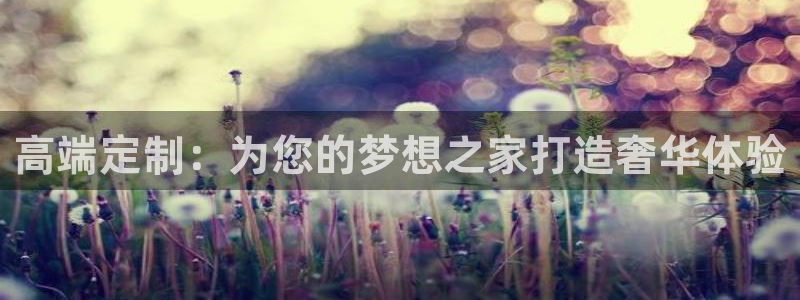 龙八国际是缅甸的吗